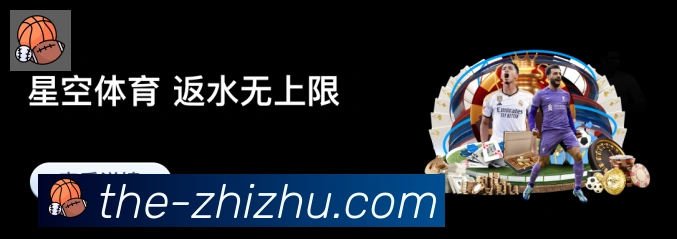 未来规划
